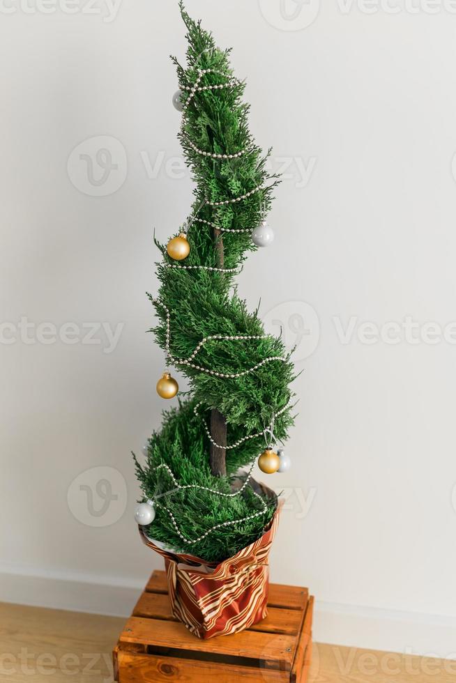 binnen- cipres of thuja in pot is decoreren ballen Leuk vinden Kerstmis boom. alternatief bomen voor Kerstmis . foto