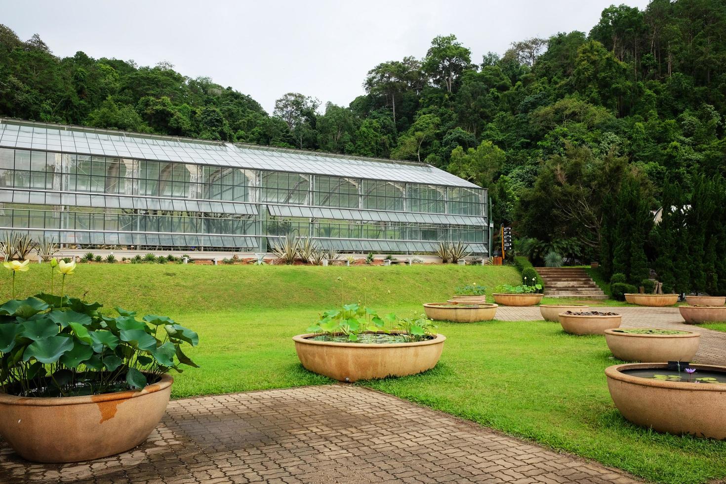 kas en serre Bij koningin sirikit botanisch tuin en arboretum, klimmer spoor voor studie over divers fabriek soorten. foto