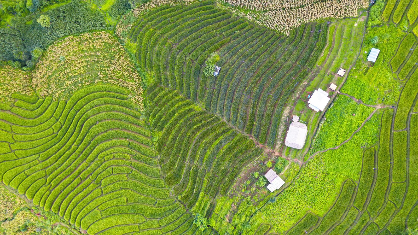 luchtfoto van de groene terrasvormige rijstvelden foto