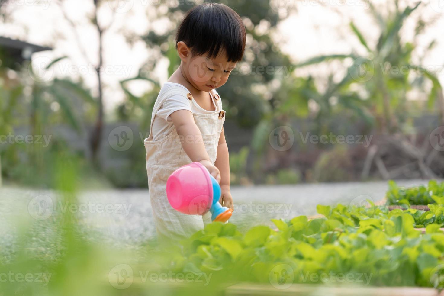 biologisch landbouw Bij huis, biologisch groente boerderij. kinderen gieter biologisch groenten . niet giftig groente toenemen van nature. kas tuin, ecologisch biologisch, gezond, vegetarisch, ecologie foto