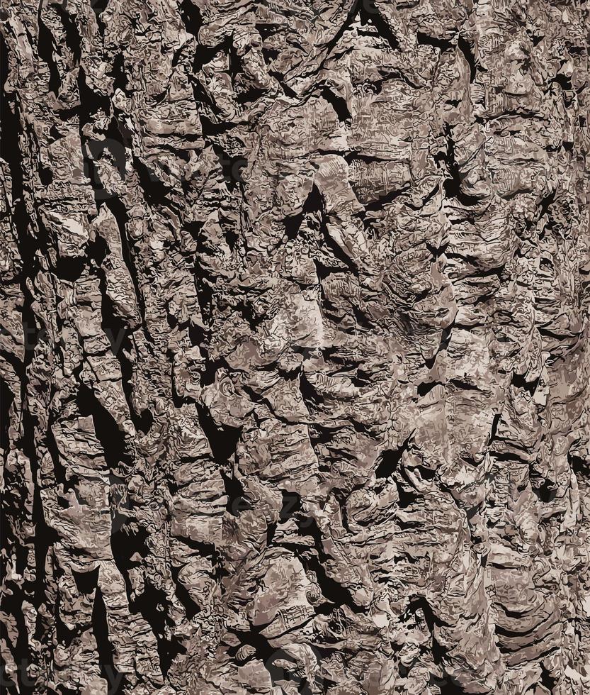 illustratie van een detailopname van kurk boom blaffen. kurk eik of quercus suber in Latijns foto
