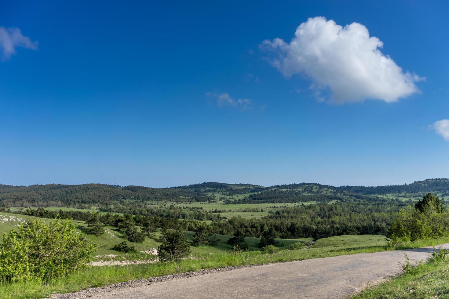 vlak landschap met groene vegetatie en weg foto