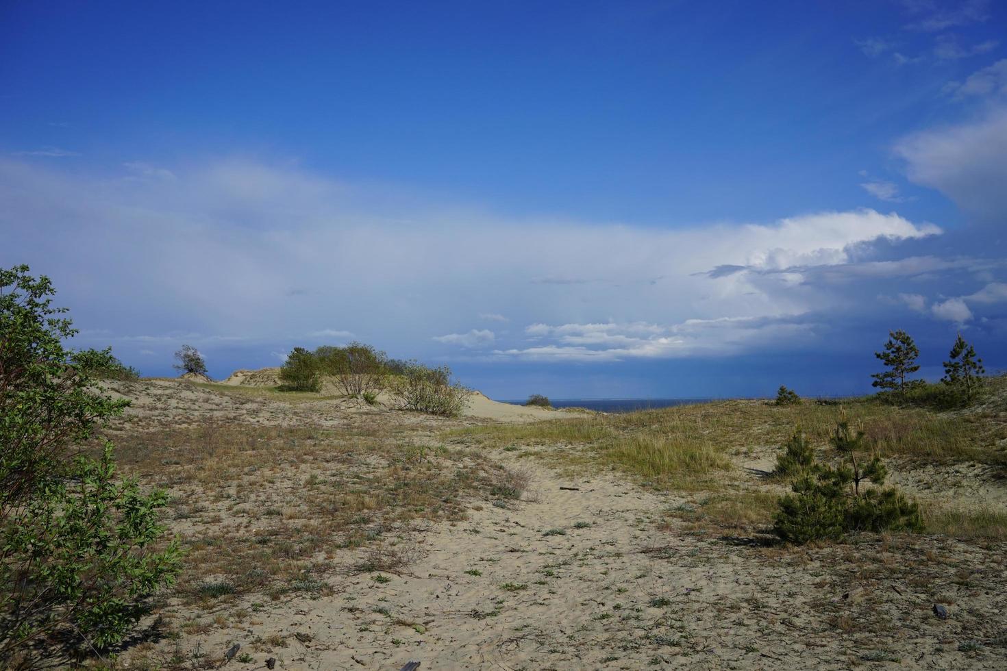 verlaten zeegezicht op de Oostzee en de zandduinen foto