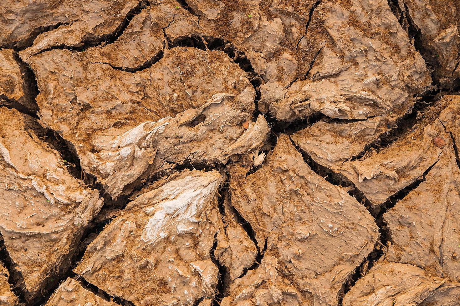 gebarsten bodem achtergrond droogte concept foto