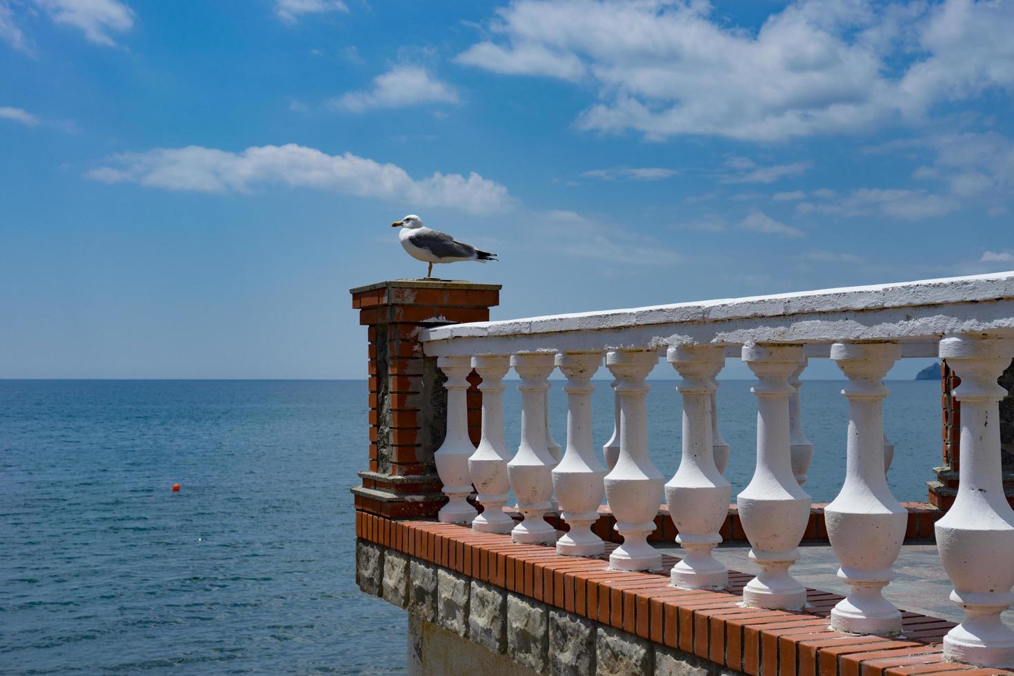 zee landschap met een zeemeeuw op het balkon. foto
