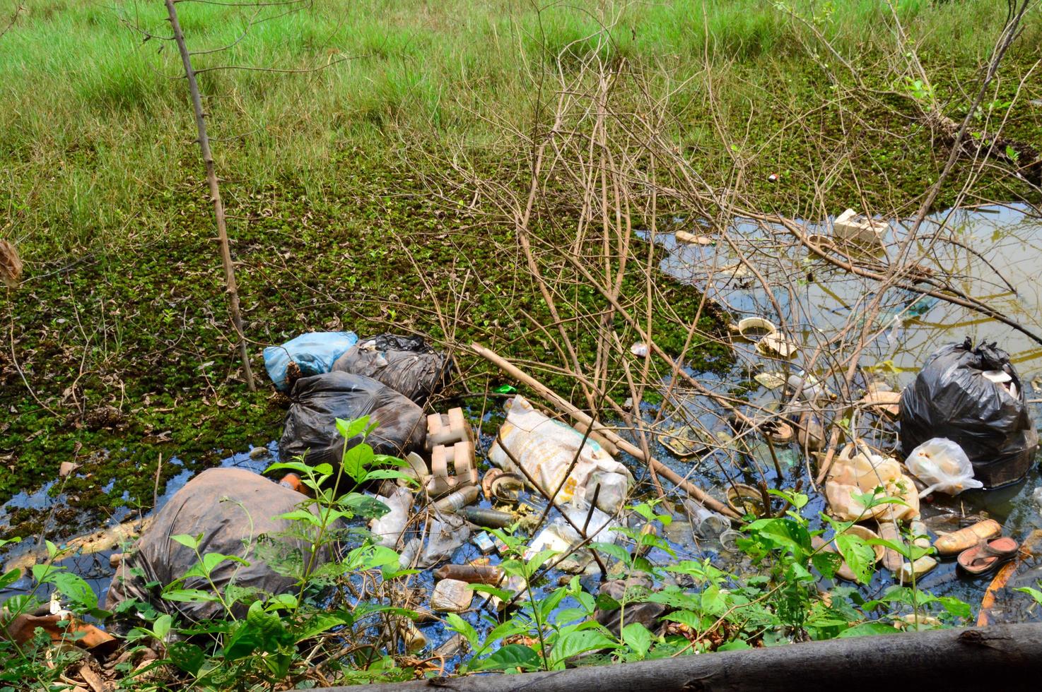 plastic verspilling in de water Woud water verontreiniging plastic verspilling ecologie globaal opwarming foto