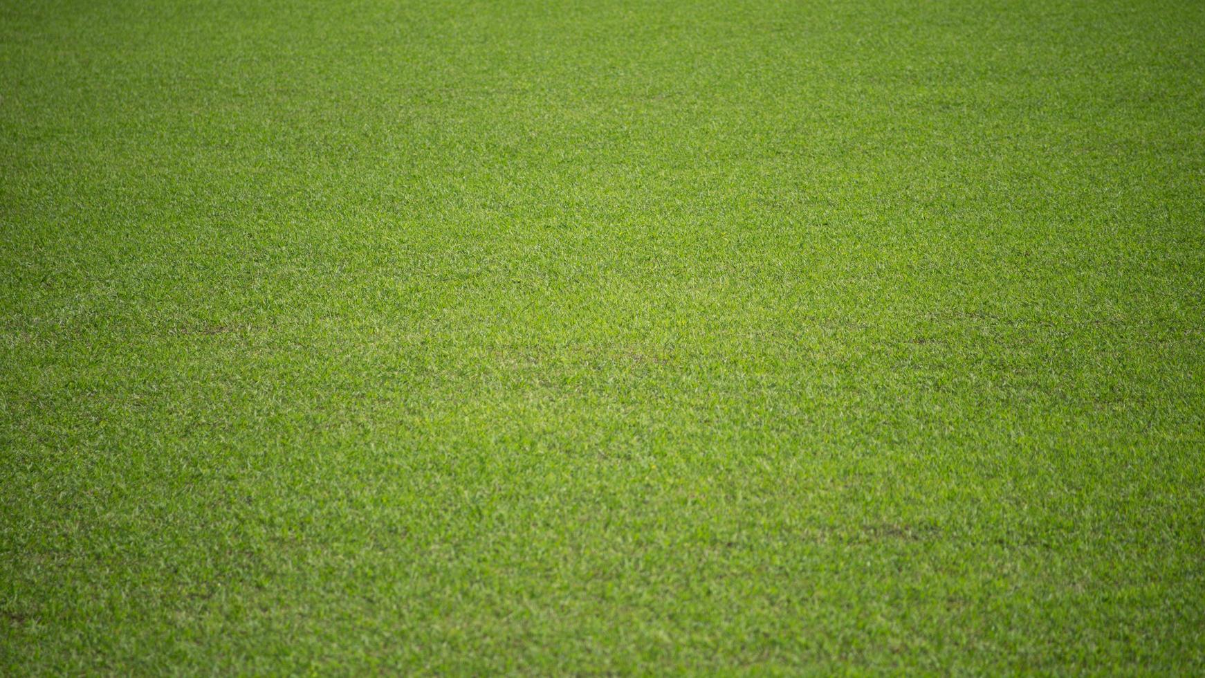 natuurlijke achtergrond van een groen voetbalveld van gras. foto