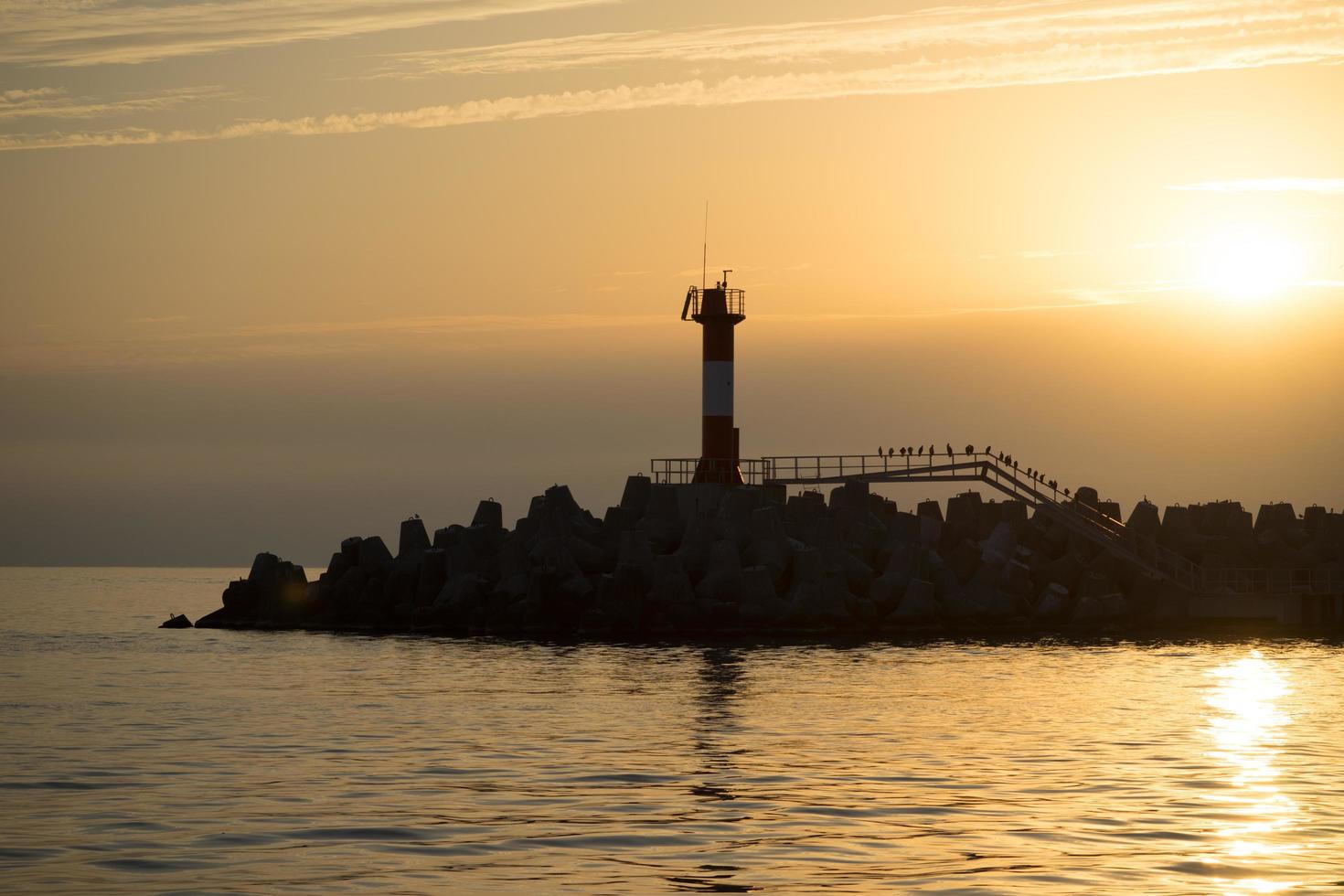 mariene zonsondergang met uitzicht op het navigatielicht en de silhouetten van aalscholvers foto