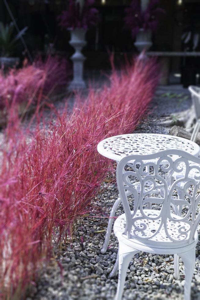 roze gras in de buurt van tuinmeubilair foto