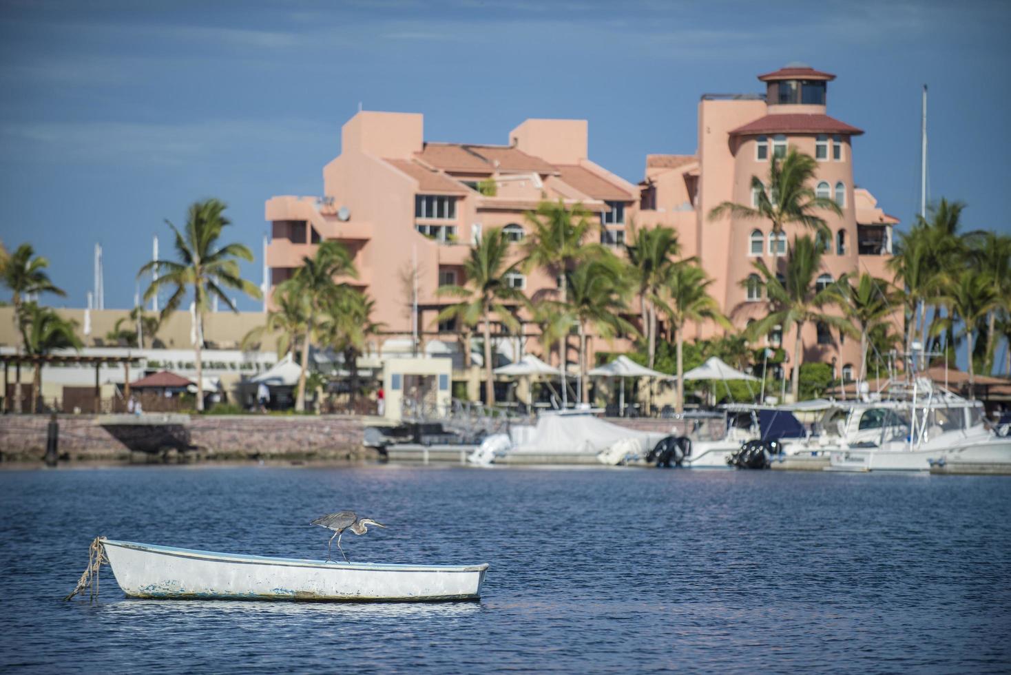 Boten in de baai in de prachtige Malecon van La Paz op het schiereiland Baja Baja California Sur Mexico foto