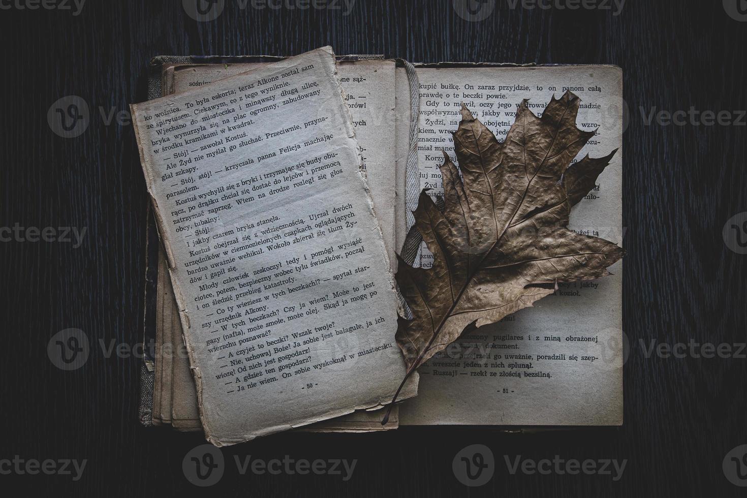 beschadigd boek aan het liegen Aan een donker achtergrond met een herfst blad foto