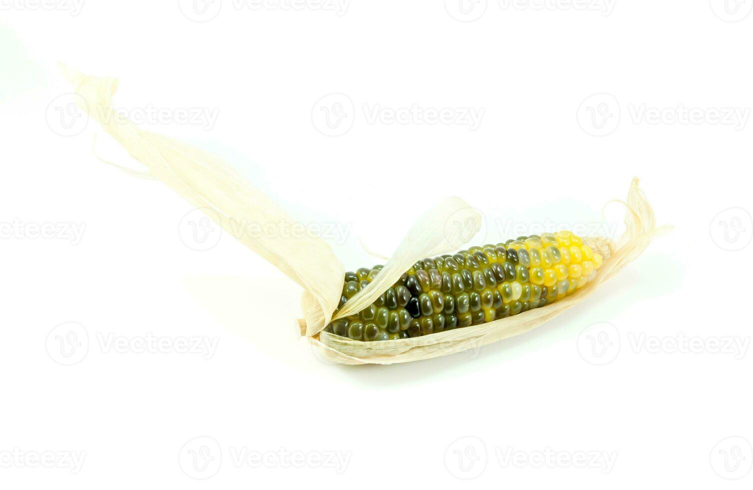 zoet en heerlijk weinig maïs Aan wit achtergrond foto