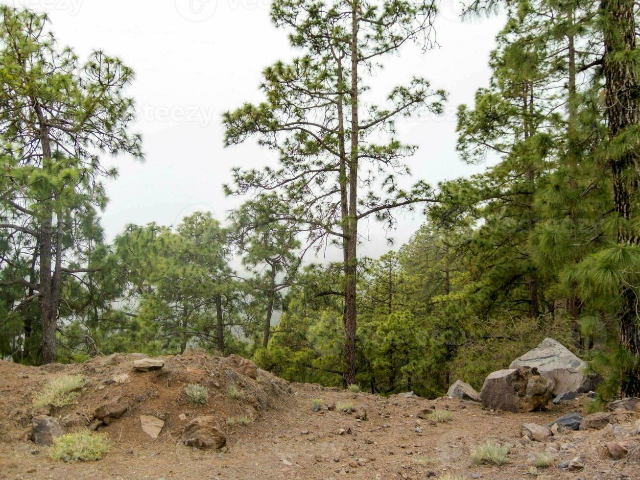 een berg landschap foto