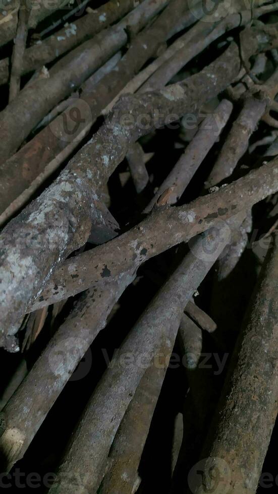 stapel van droog hout voor brandstof foto