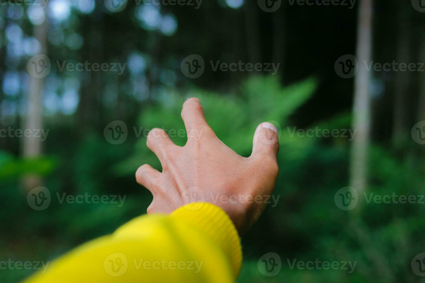 ontdekkingsreiziger mannetje hand- in een groen regenachtig Woud. foto