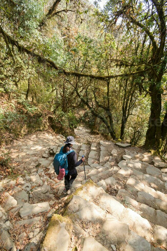 een jong reiziger trekking Aan Woud spoor , Nepal foto