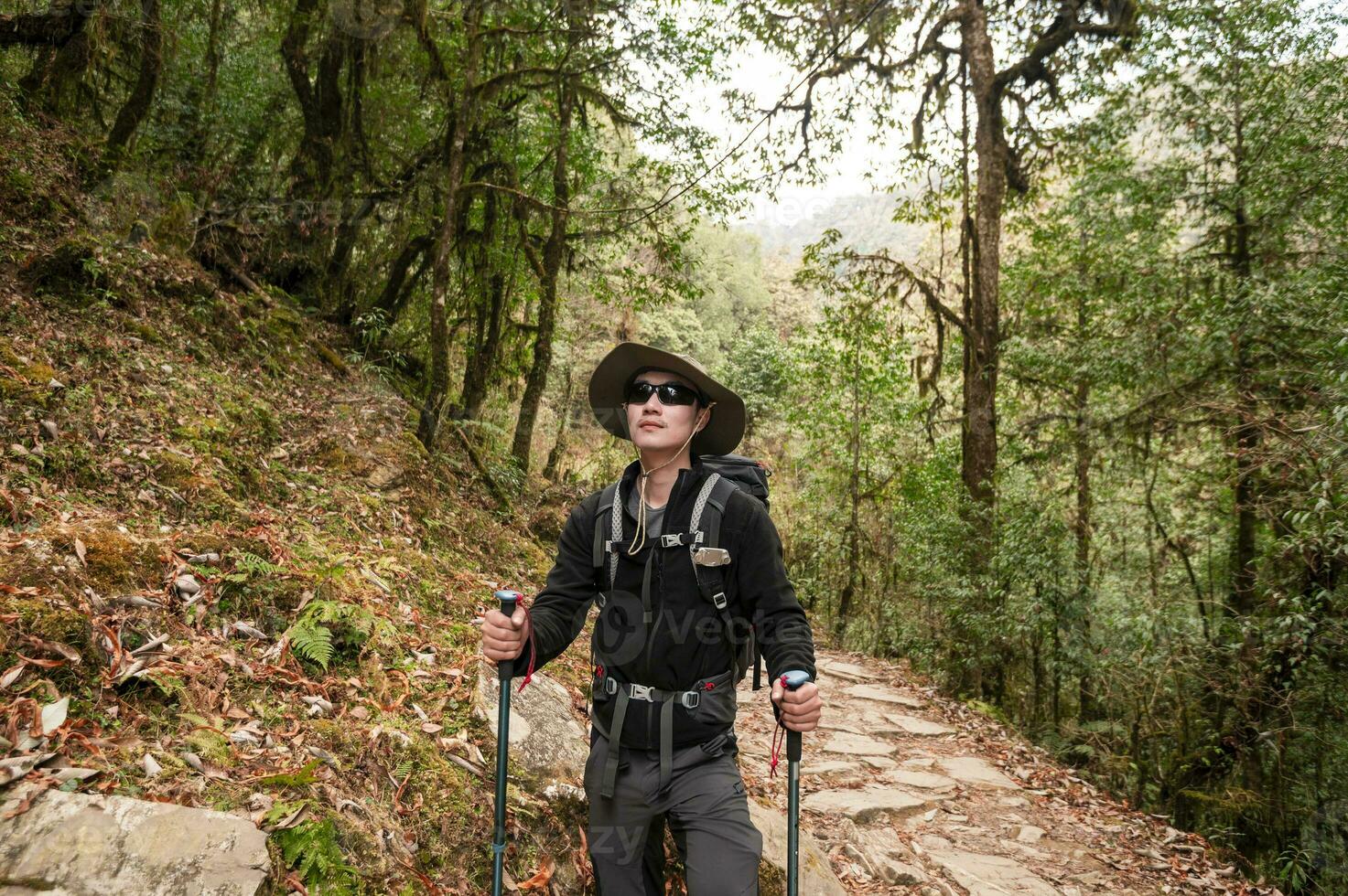 een jong reiziger trekking Aan Woud spoor , Nepal foto