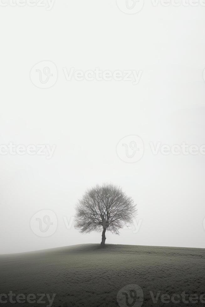 een eenzaam boom staat alleen in een mistig veld- met kopiëren ruimte voor tekst. ai gegenereerd foto