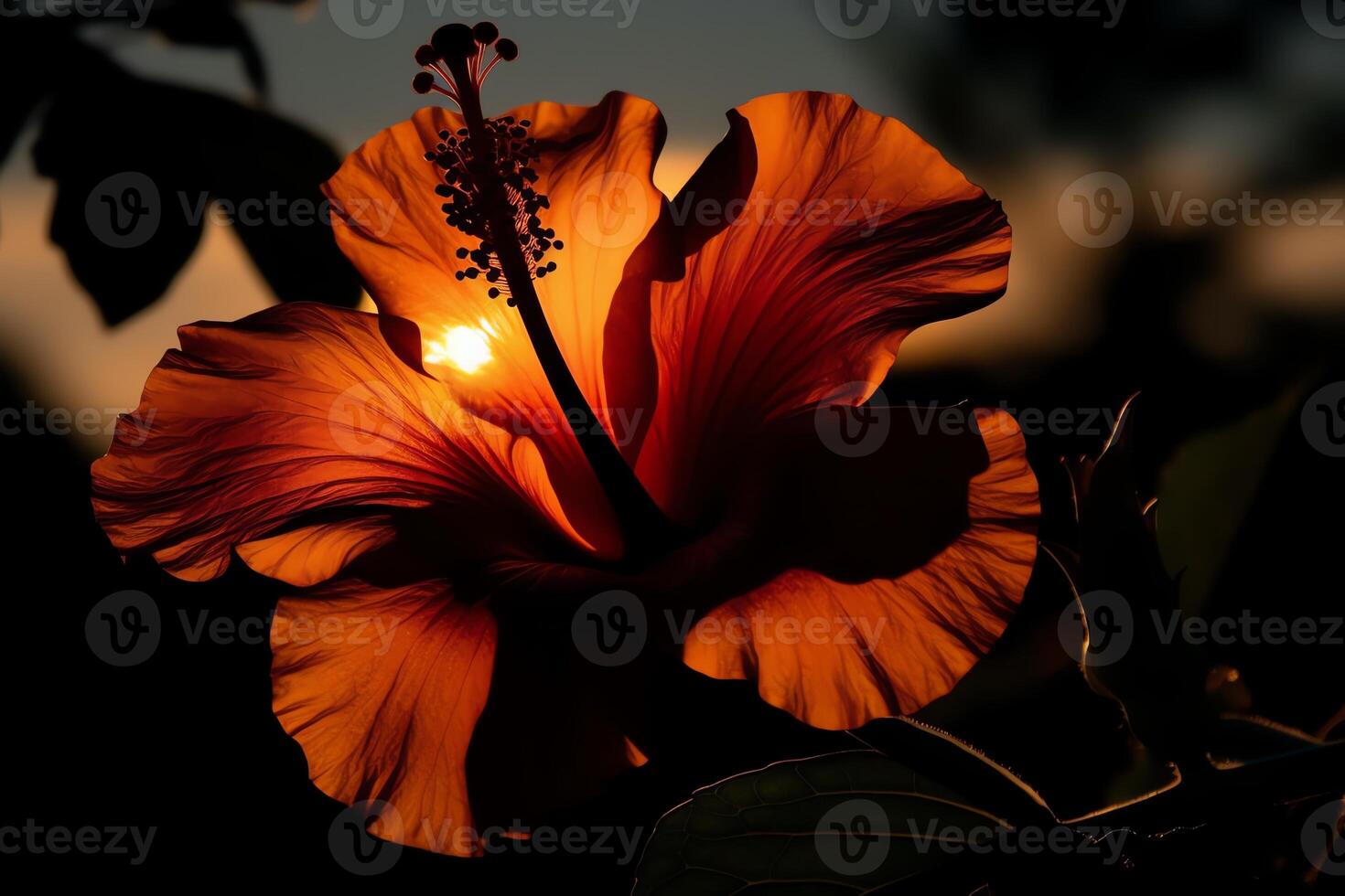 silhouet van een hibiscus bloem. ai gegenereerd foto