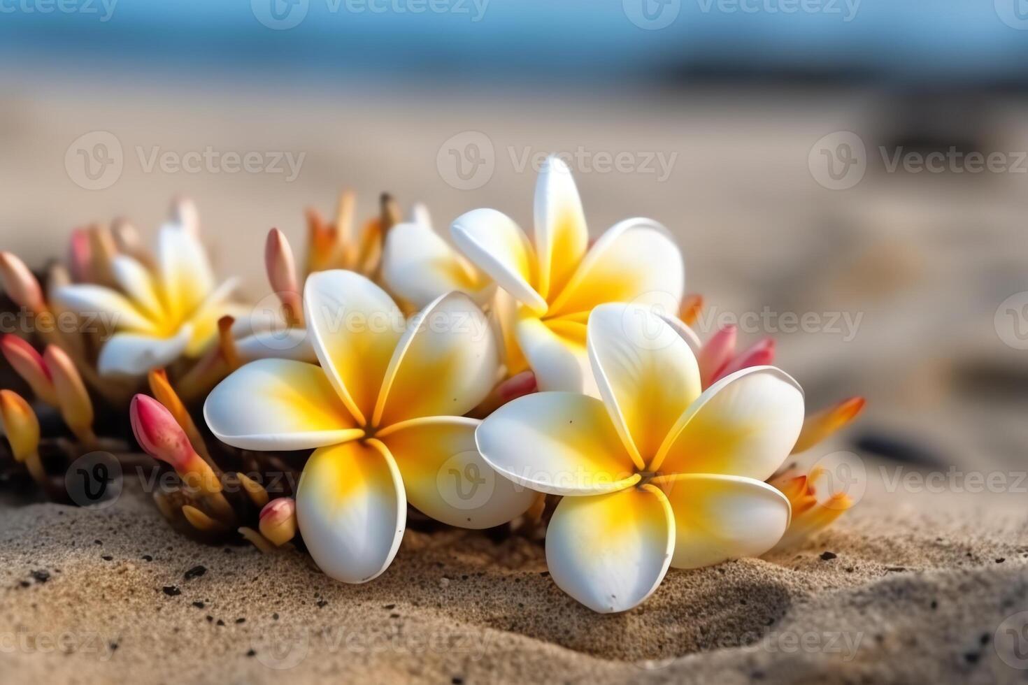 frangipani bloemen Aan de zand met. ai gegenereerd foto