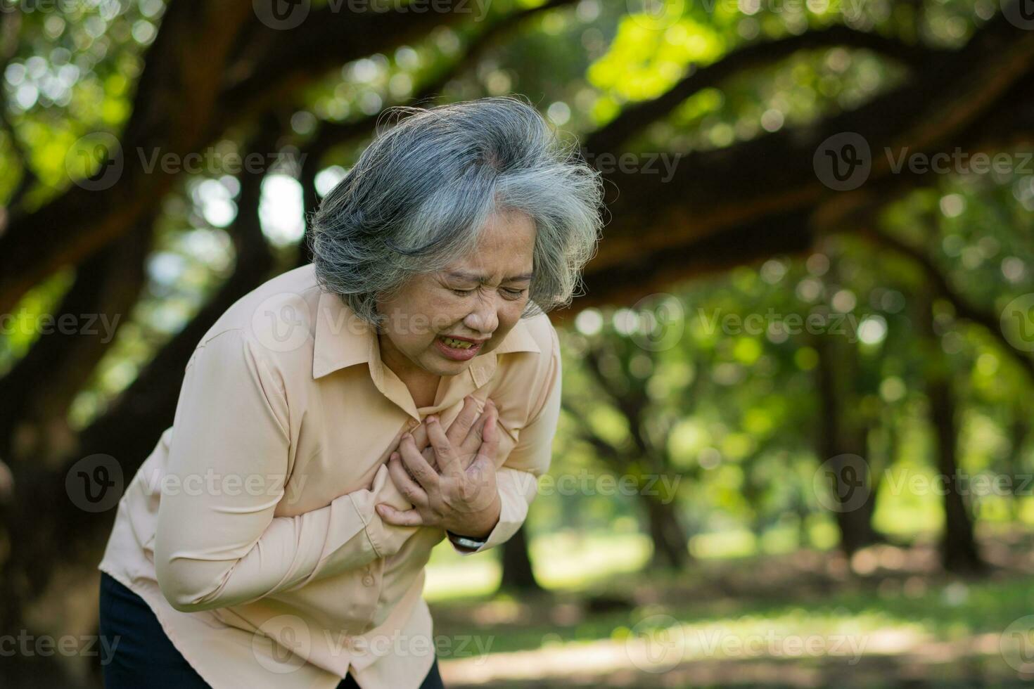 senior aziatische vrouw probleem pijn op de borst of hartaanval buiten in park, hartproblemen, een senior vrouw met pijn op de borst die lijdt aan hart-en vaatziekten, gezondheidszorg en ziekte concept foto