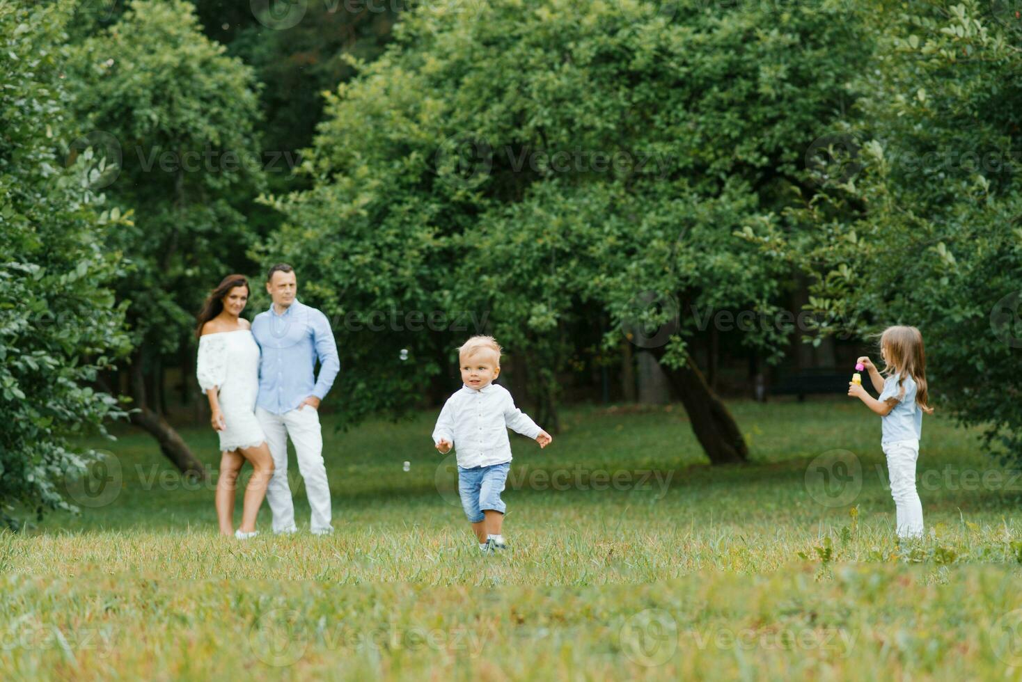 een jong familie met een zoon en dochter kom tot rust in de park in de zomer. ze blazen zeep bubbels en hebben pret foto