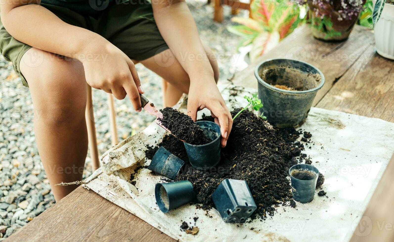 jongen handen scheppen bodem in potten naar bereiden planten voor aanplant vrije tijd activiteiten concept foto