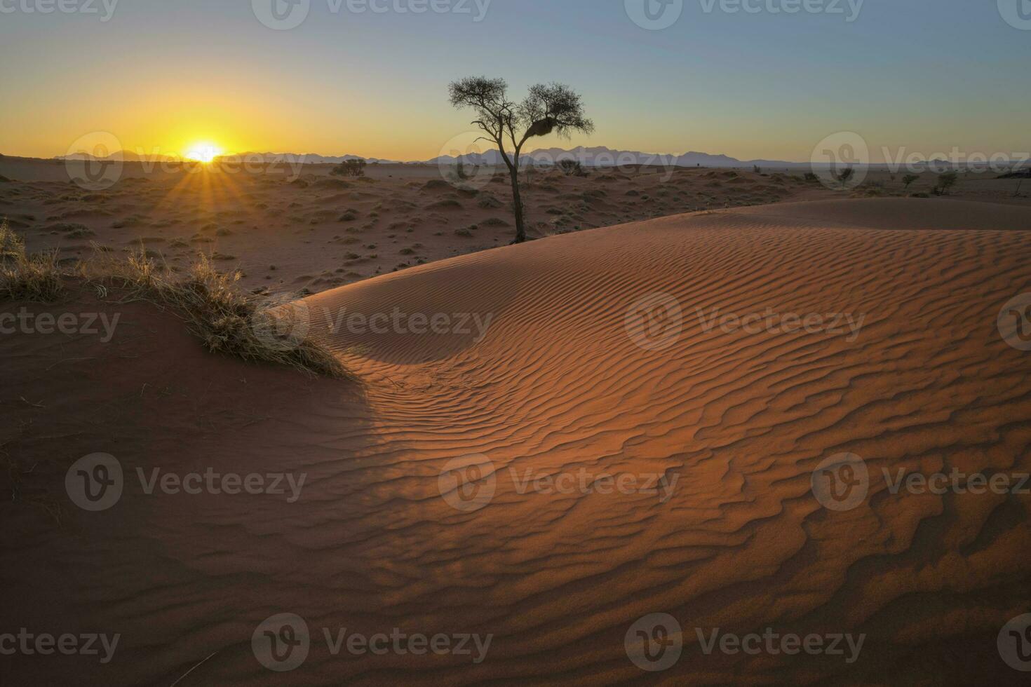 wind geveegd patronen Aan rood zand duin Bij zonsondergang foto