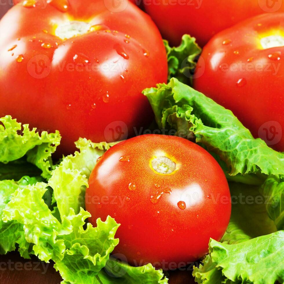 vers rood tomaten detailopname foto