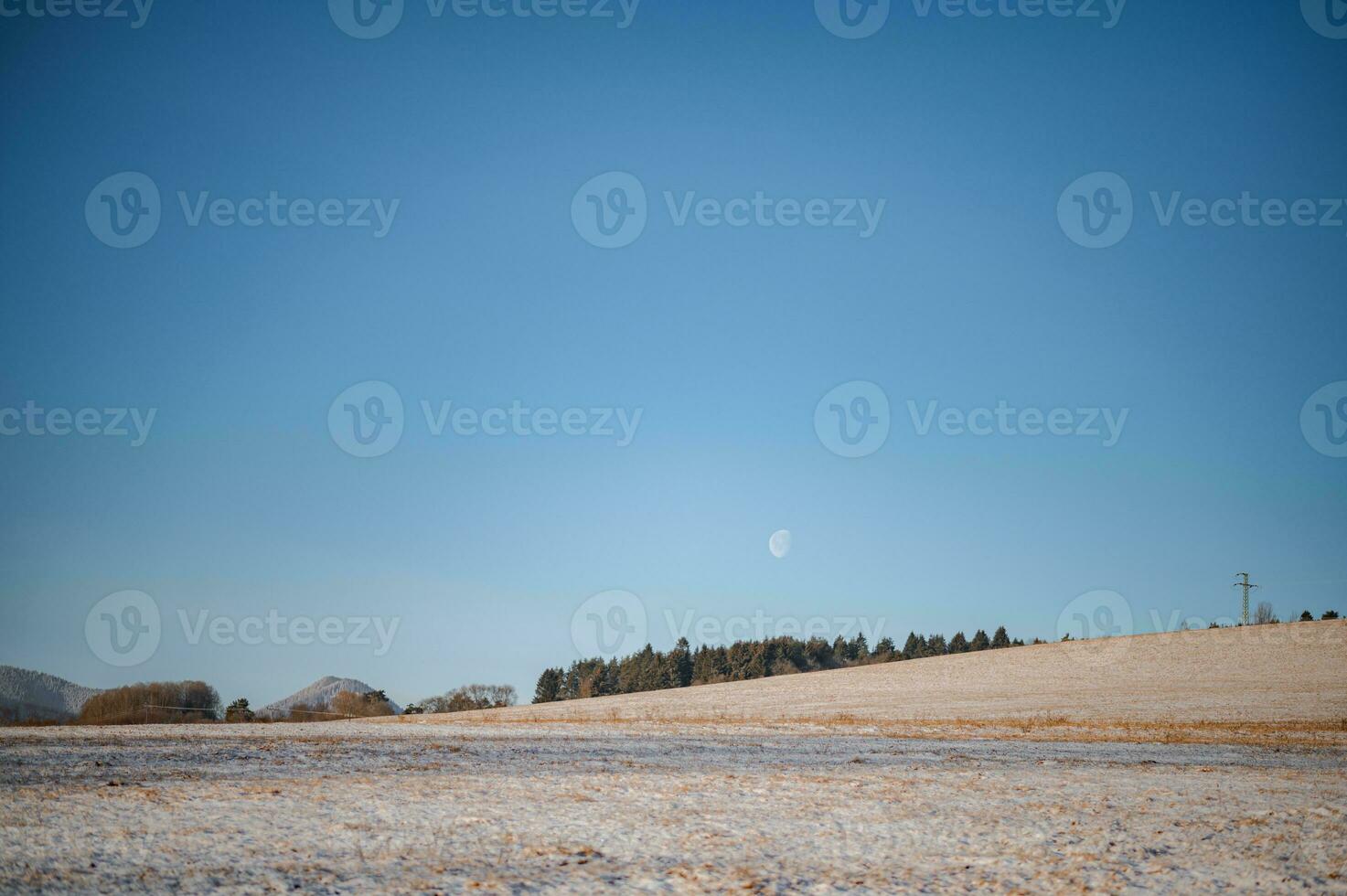 voorjaar foto's Aan de weide, liptov, Slowakije, 14.04.2023 foto