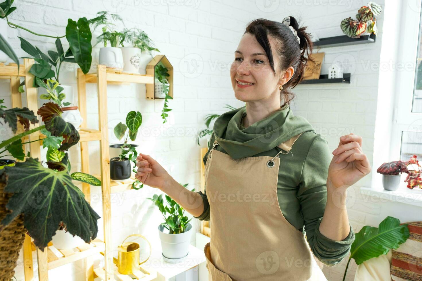 vrouw fabriek fokker onderzoekt en bewondert huis planten in een pot van haar verzameling Bij huis Aan de planken. zoeken voor ongedierte, zorg, water geven, meststoffen. huis Bijsnijden productie foto