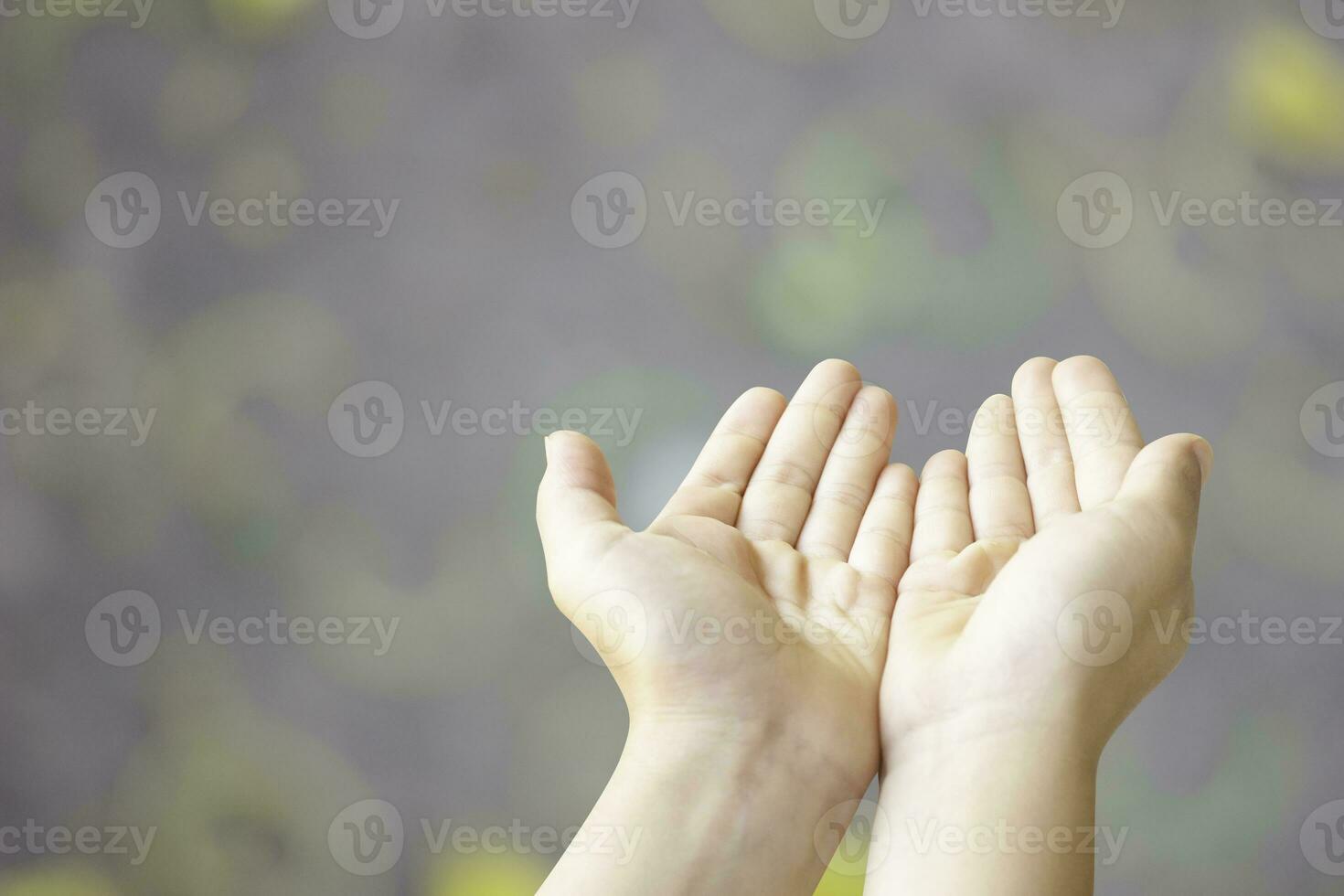 twee leeg vrouw mooi handen Open met palmen omhoog detailopname van top visie geïsoleerd Aan wit achtergrond foto