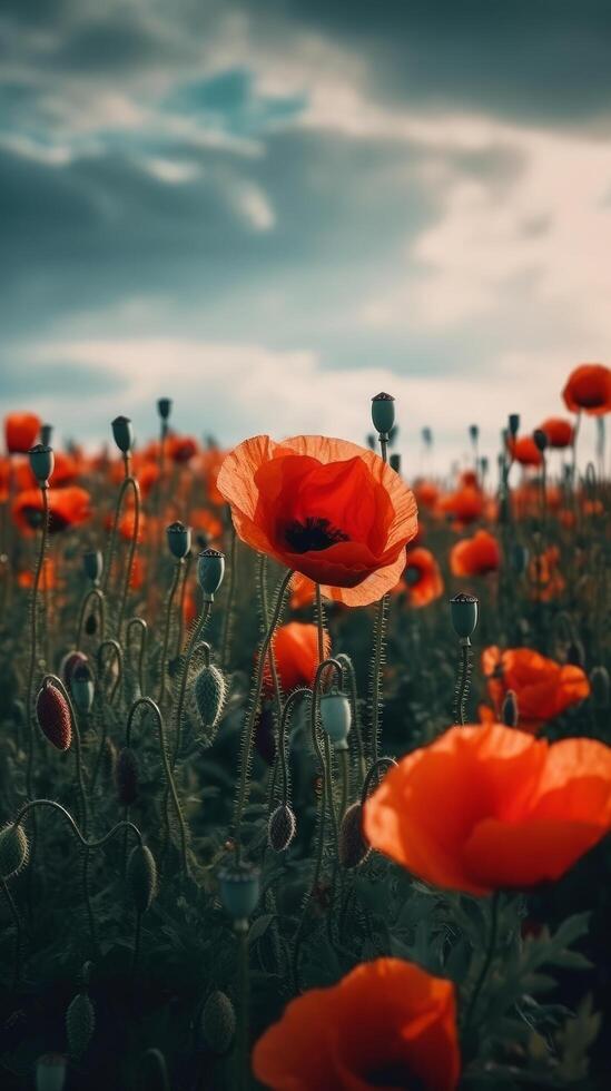 papaver bloem achtergrond voor anzac dag. illustratie ai generatief foto