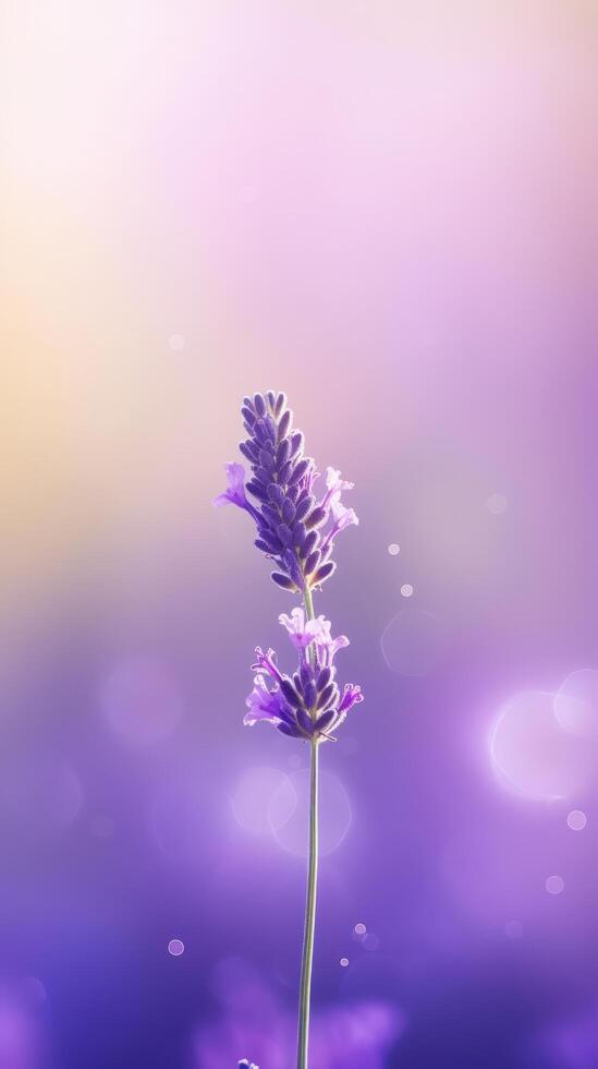 lavendel bloem achtergrond. illustratie ai generatief foto