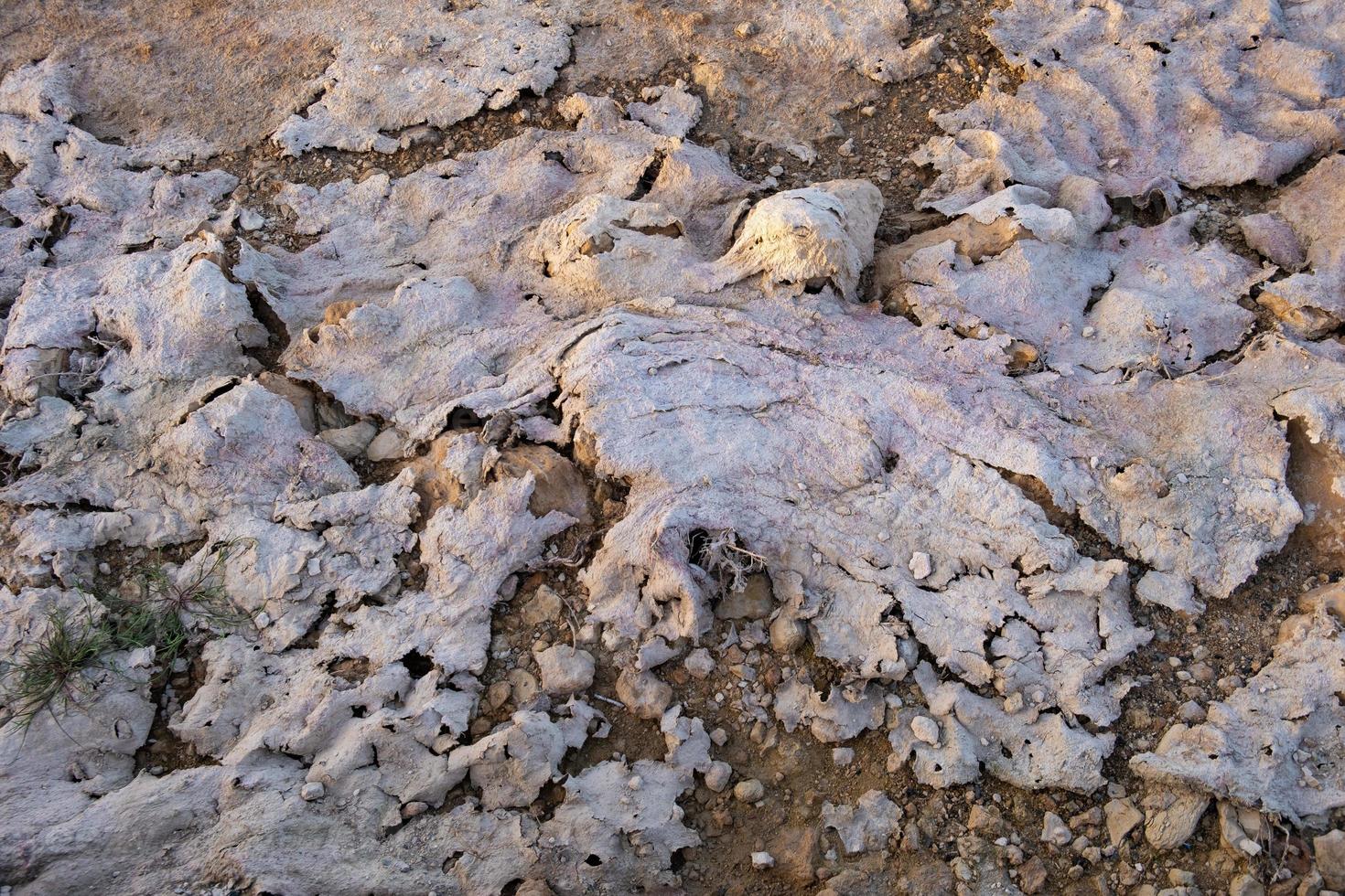 abstracte textuur gemaakt door zout en modder aan de oever van het zoutmeer van larnaca foto