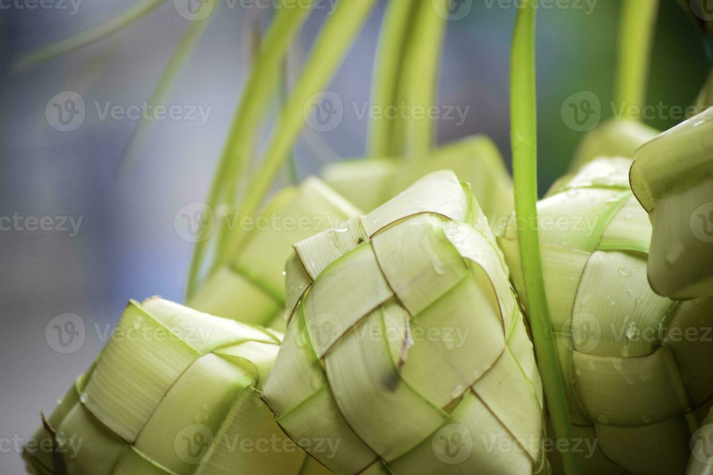 ketupat Aziatisch rijst- knoedel. ketupat is een natuurlijk rijst- behuizing gemaakt van jong kokosnoot bladeren voor Koken rijst- gedurende eid mubarak eid ul fitr foto