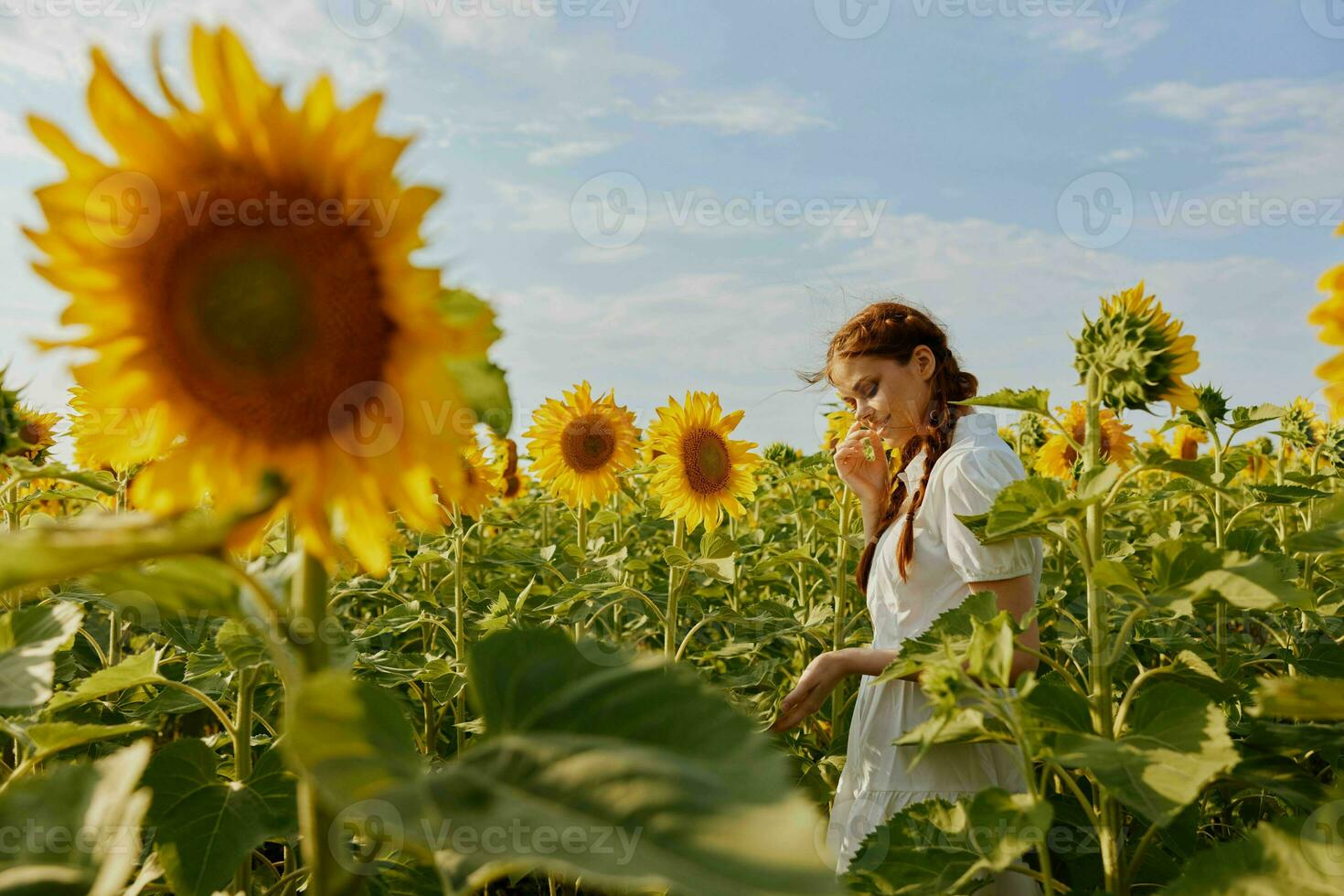mooi vrouw in wit jurk zonnebloemen veld- wandelen natuur foto