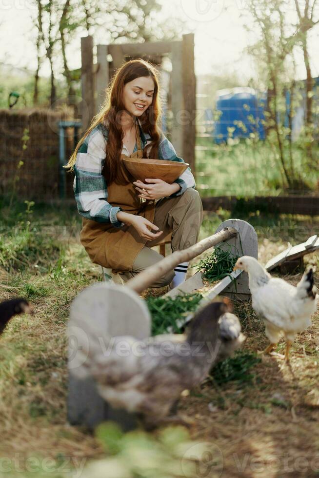 vrouw boer glimlacht feeds kippen biologisch voedsel voor vogel Gezondheid en mooi zo eieren en zorg voor de milieu foto