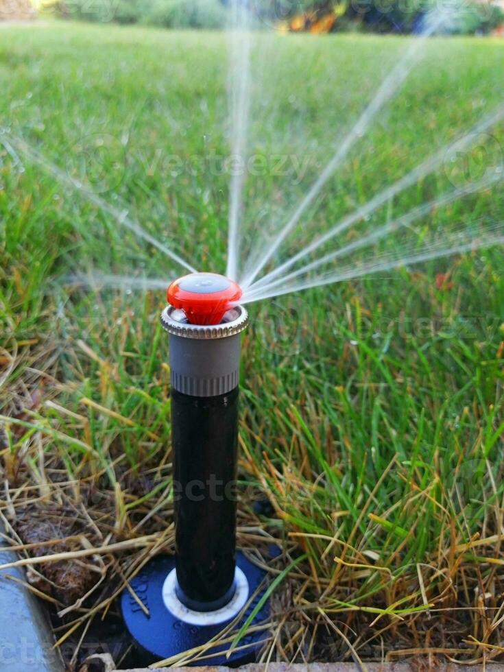 automatisch irrigatie systeem voor de tuin in de buurt de trottoir foto