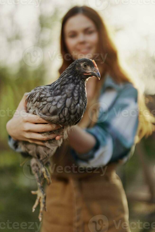 een gelukkig jong vrouw glimlacht net zo ze looks in de camera en houdt een jong kip dat legt eieren voor haar boerderij in de zonlicht. de concept van zorgzaam en gezond gevogelte foto