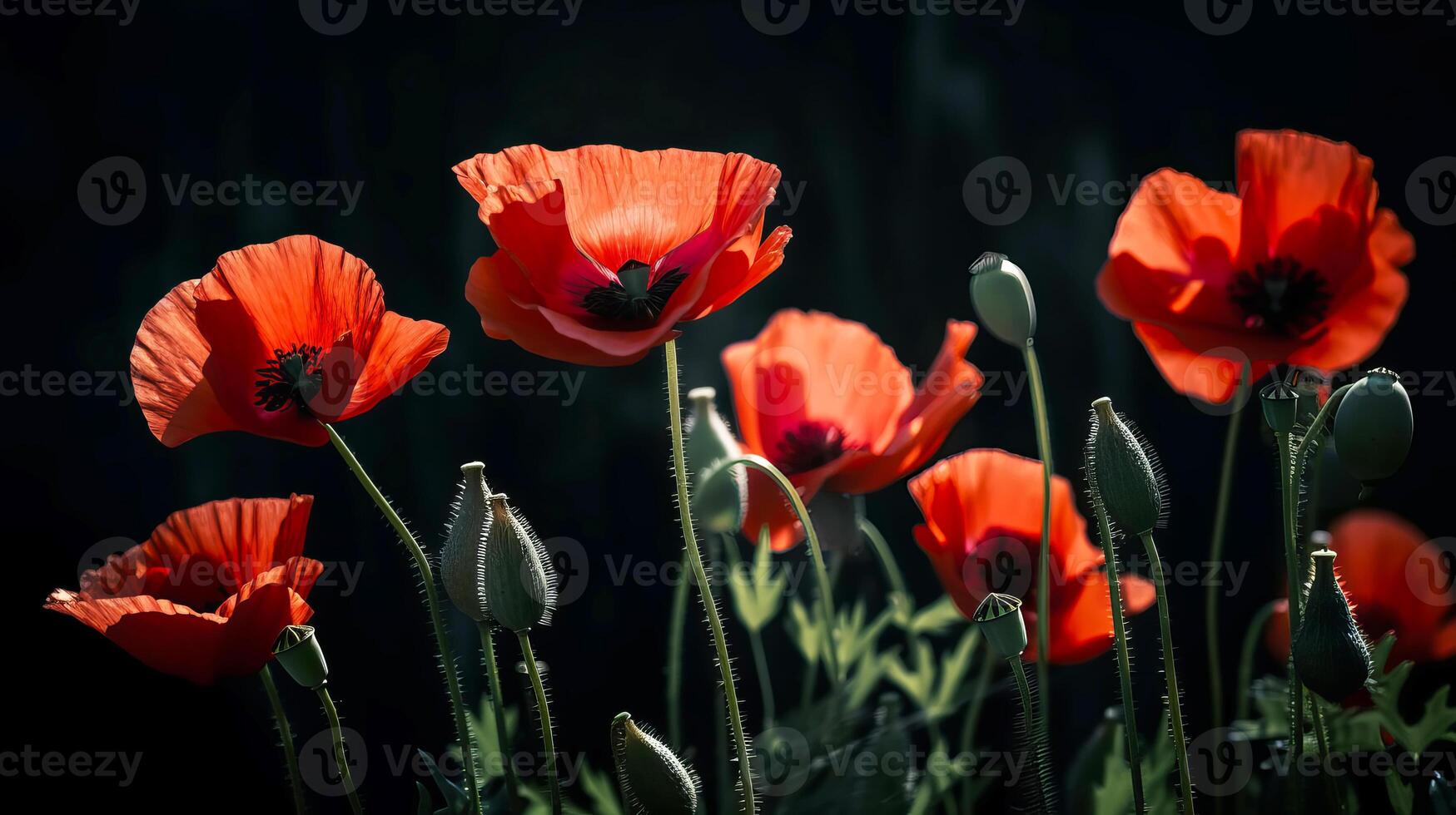 rood klaprozen net zo een symbool van geheugen voor de gedaald in de oorlog. vijf dagen, wereld oorlog herinnering dag. generatief ai illustratie foto