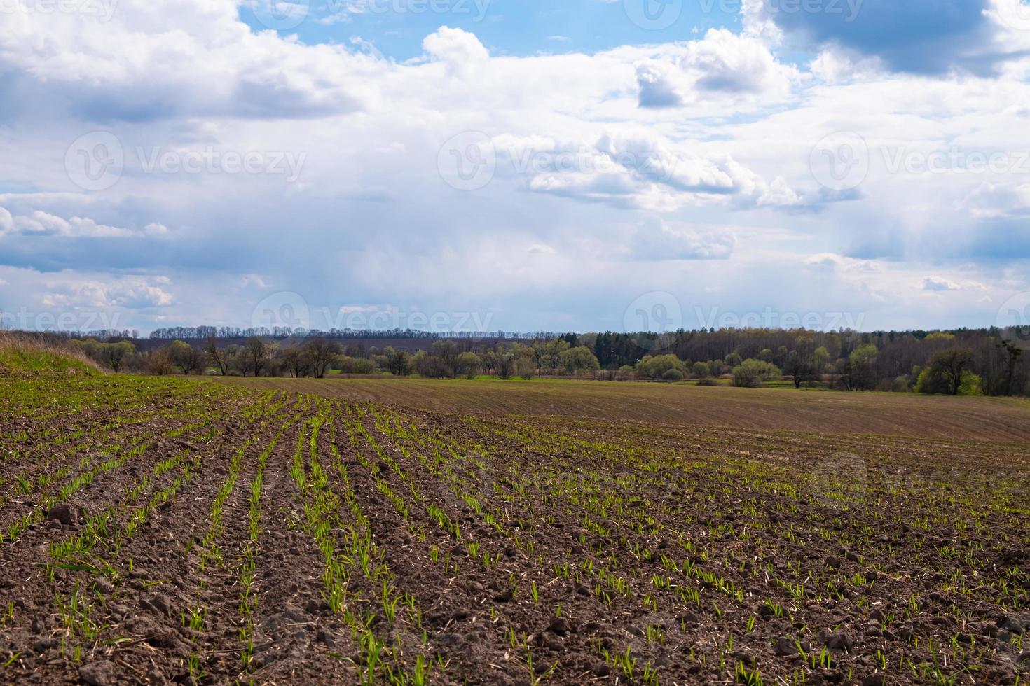 geploegd veld en wolken in het voorjaar foto