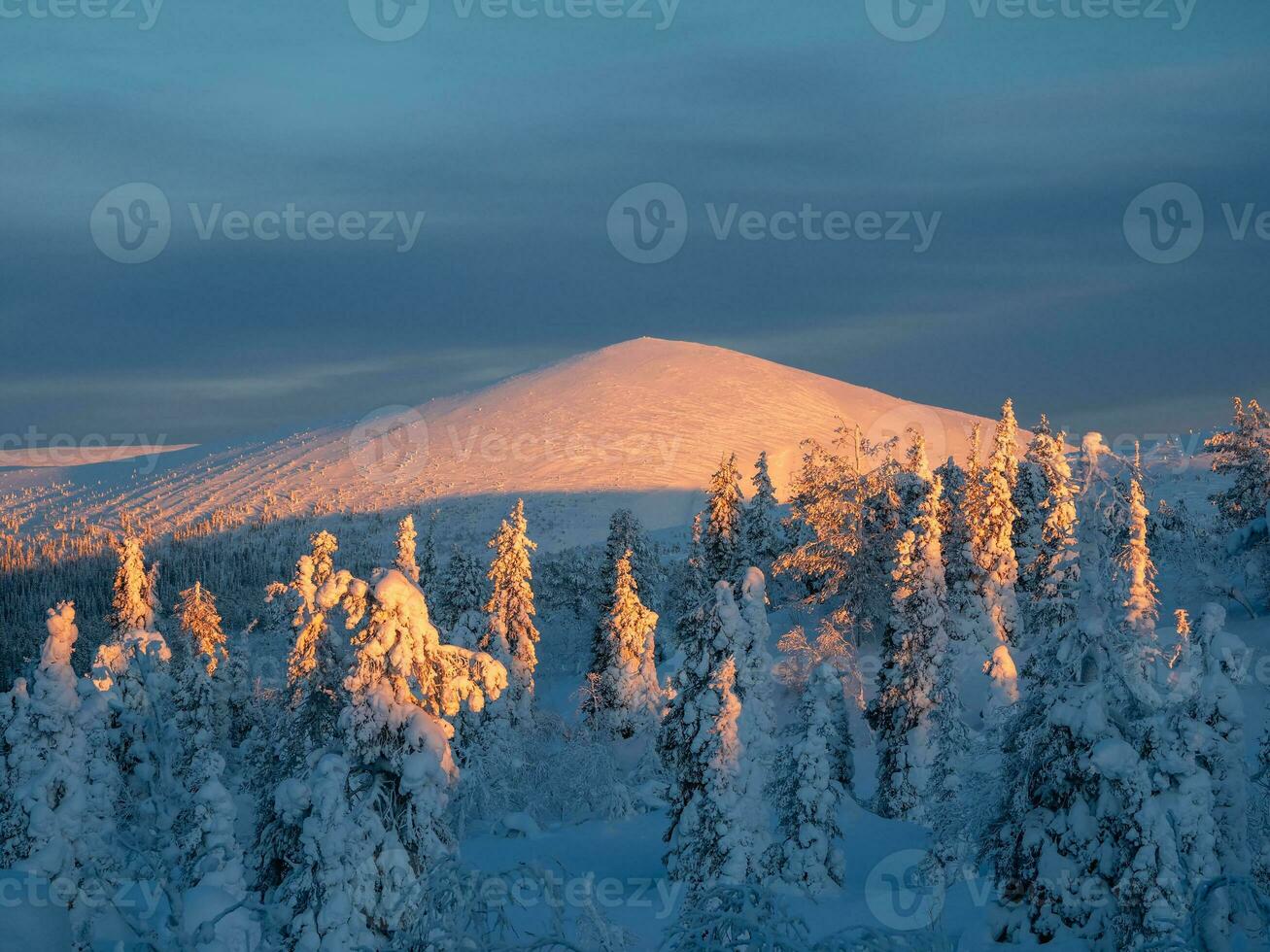 winter met sneeuw bedekt Woud Bij een kleurrijk ochtendgloren, een natuurlijk ansichtkaart van winter. foto