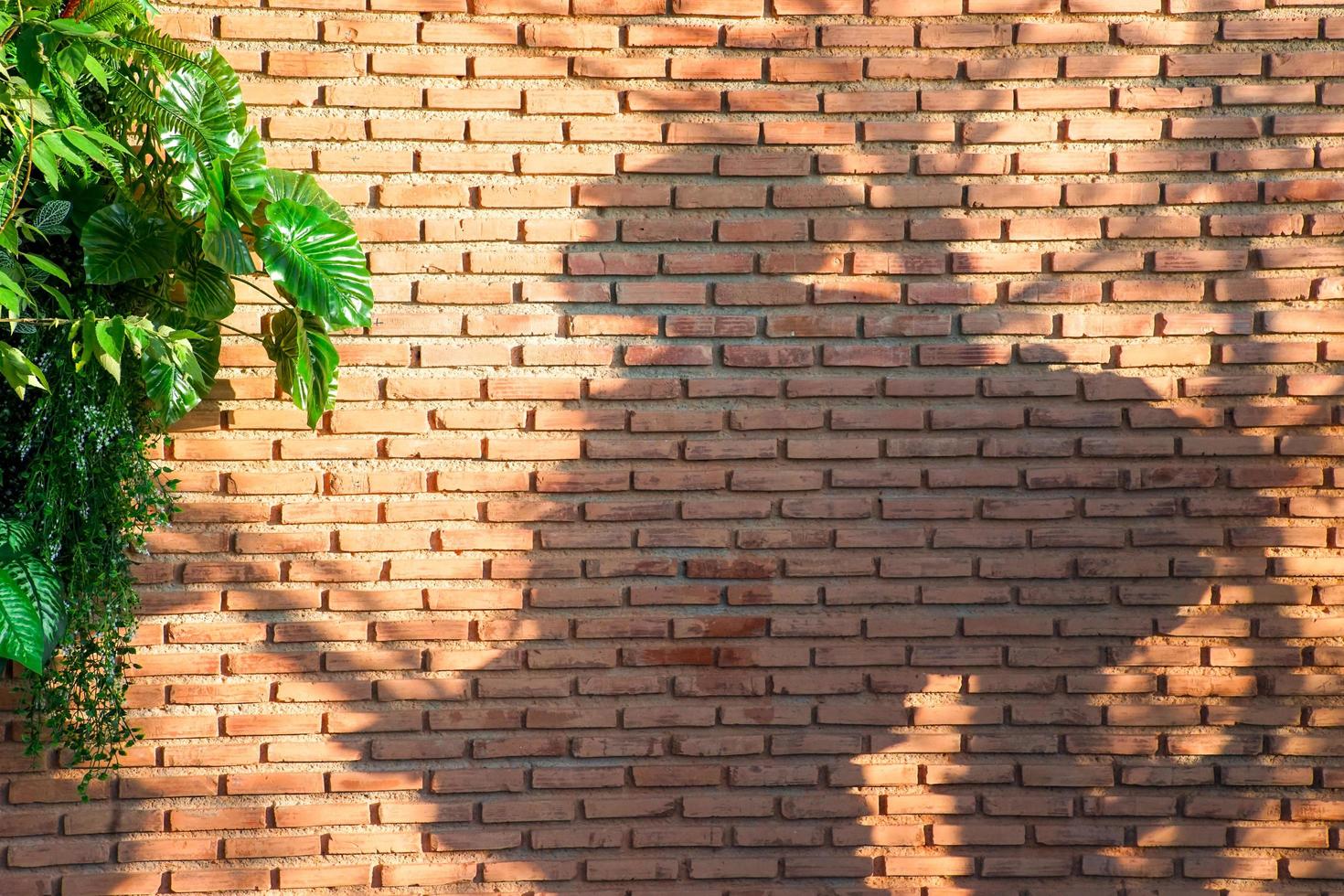 portretschaduw van een backpacker op de metselaarsmuur versierd door een verticale tuin. foto