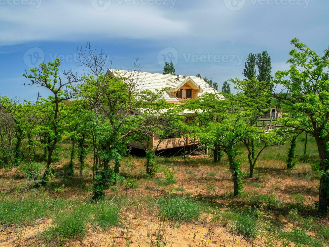 gast huis met wit dak. houten huisje in weelderig groen in de woestijn. foto