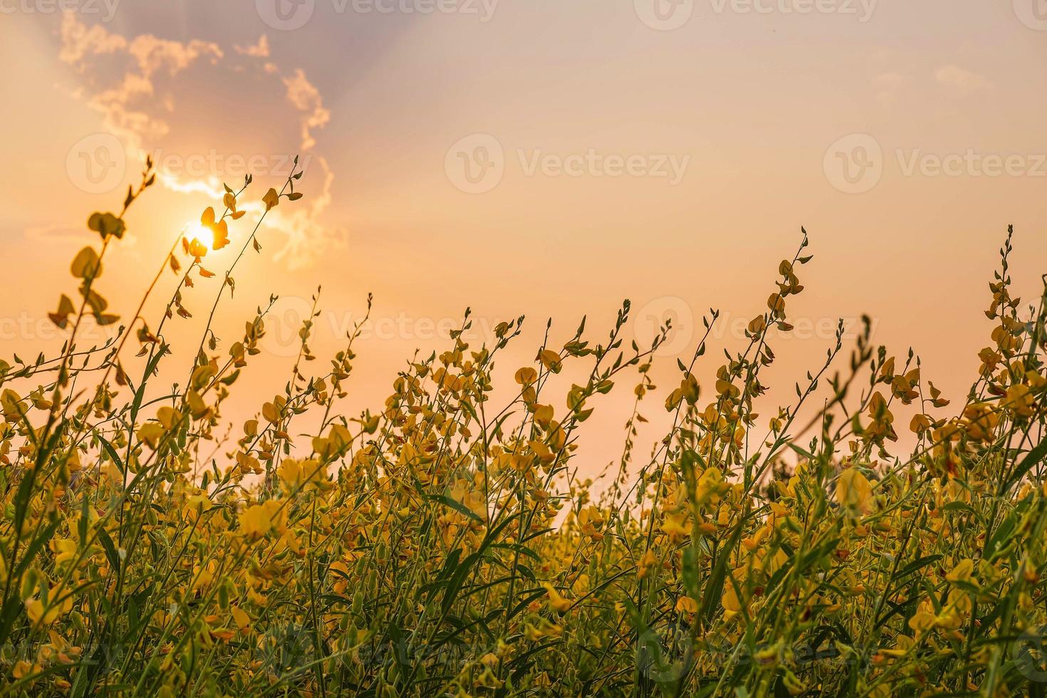 de hemelachtergrond in de ondergaande zon foto