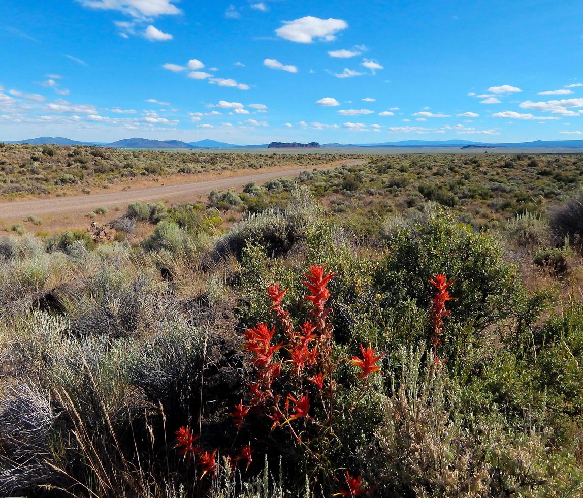 hoog woestijnpanorama - een uitzicht naar het zuiden langs de weg van het cabinemeer met fortrots in de verte - of foto