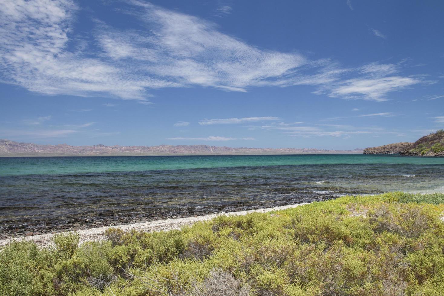 Strand met rotsen onder een zonnige blauwe lucht en vegetatie op het schiereiland Baja California in Bahia Concepcion foto