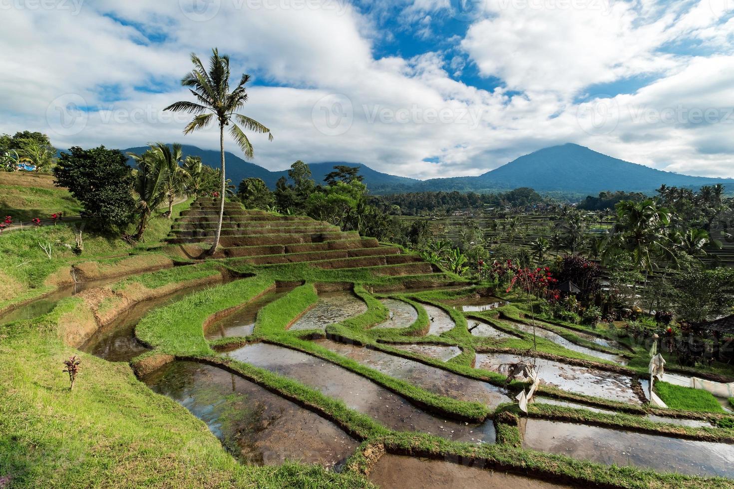 Bali rijstterrassen. de prachtige en dramatische rijstvelden van jatiluwih in het zuidoosten van Bali zijn uitgeroepen tot het prestigieuze UNESCO-werelderfgoed. foto