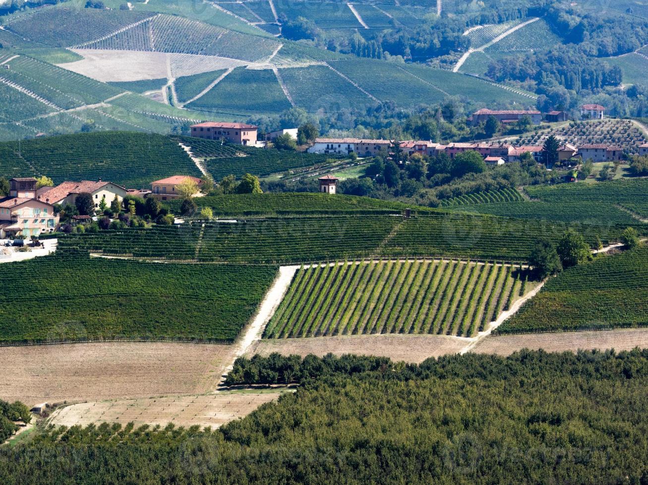 langhe wijngaarden van piemonte in de herfst foto